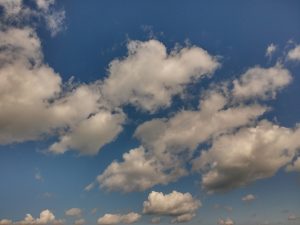 Cumulus humilis